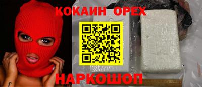 гидра Краснознаменск