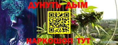 гидра Краснознаменск