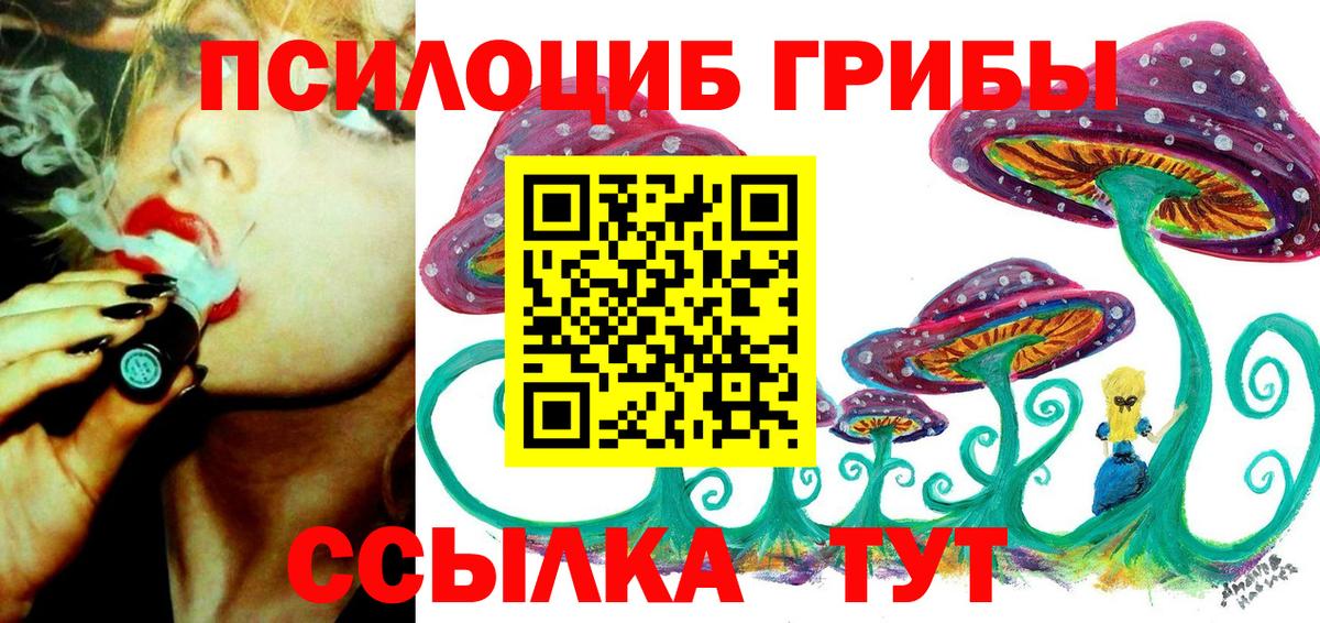 Псилоцибиновые грибы MAGIC MUSHROOMS  Вход с VPN  Кемерово 