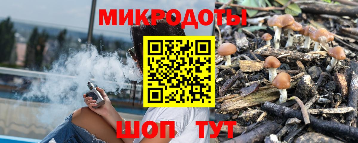 Псилоцибиновые грибы Cubensis Кемерово